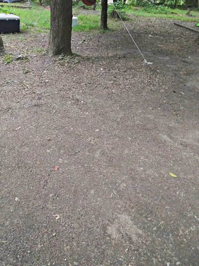 Abrams Creek Campground