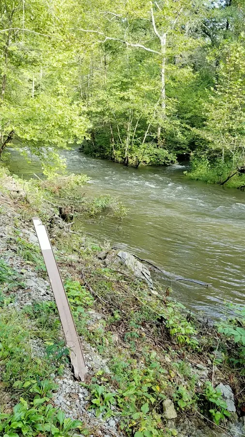 Abrams Creek Campground