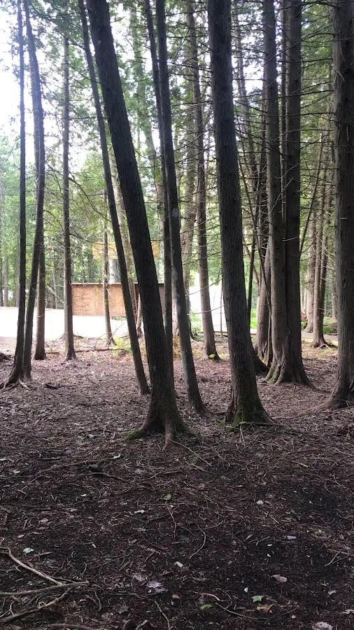 Acadia East Campground