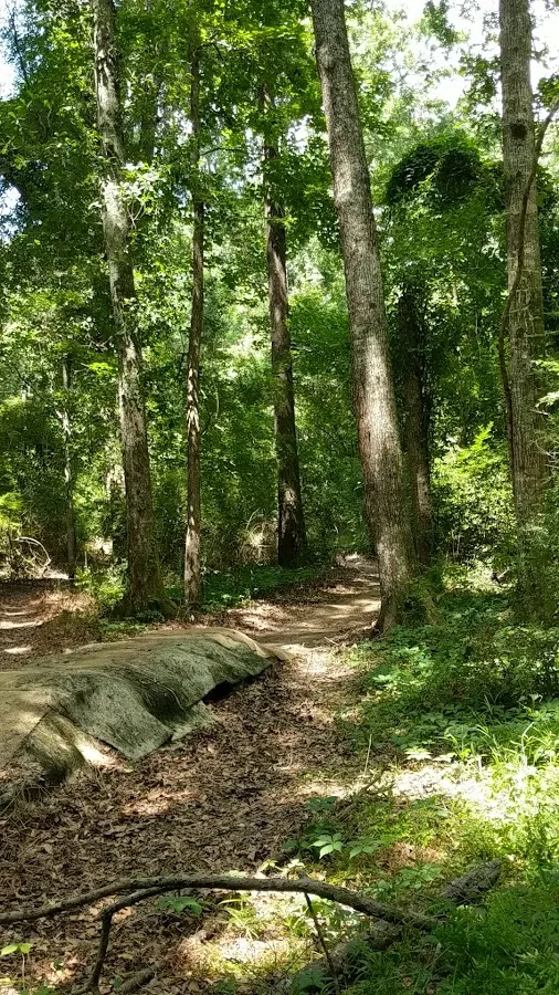 Acadiana Park Campground