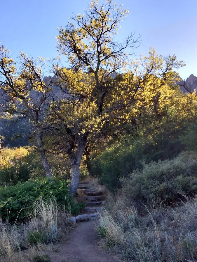 Aguirre Spring Campground