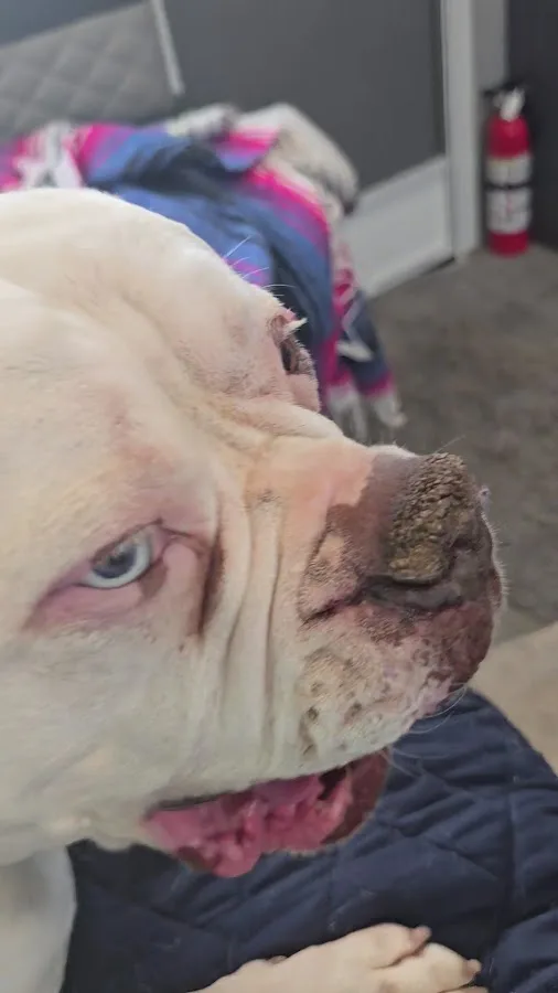 Alabama Coast Campground