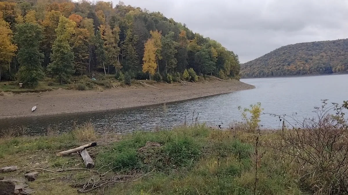Allegheny National Forest