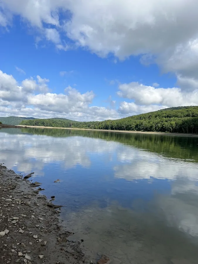 Allegheny National Forest - Camping & Cabins