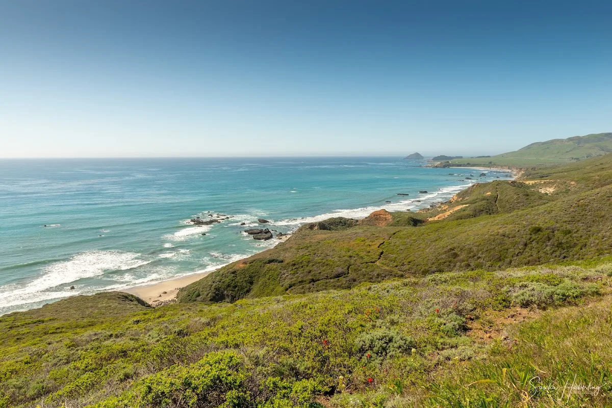 Andrew Molera State Park