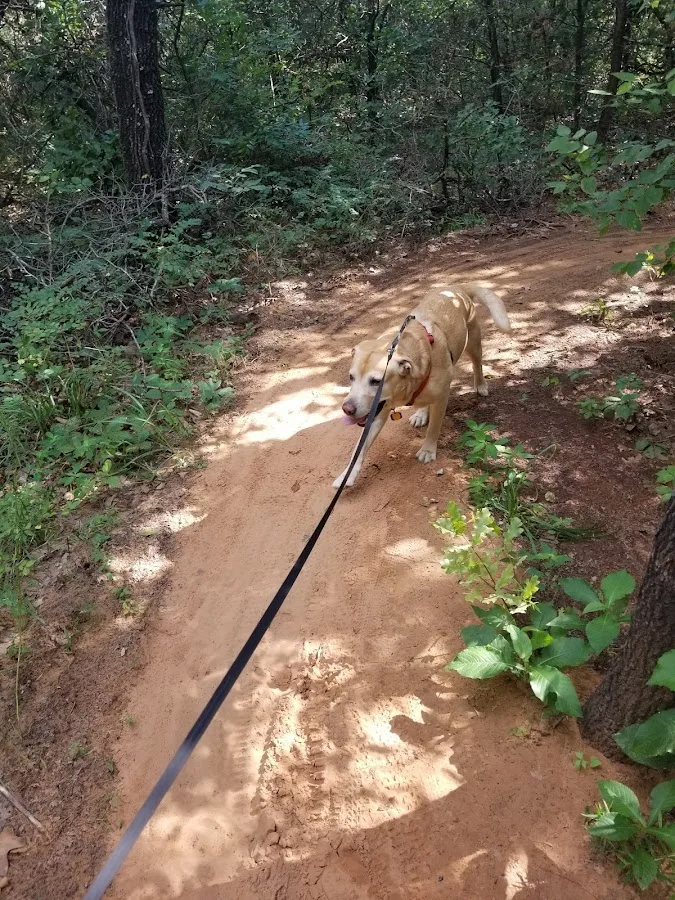 Arcadia Lake Campground