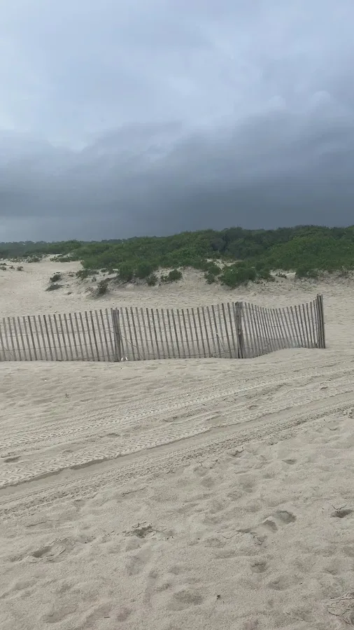 Assateague National Seashore Campground - Spot Bayside B33
