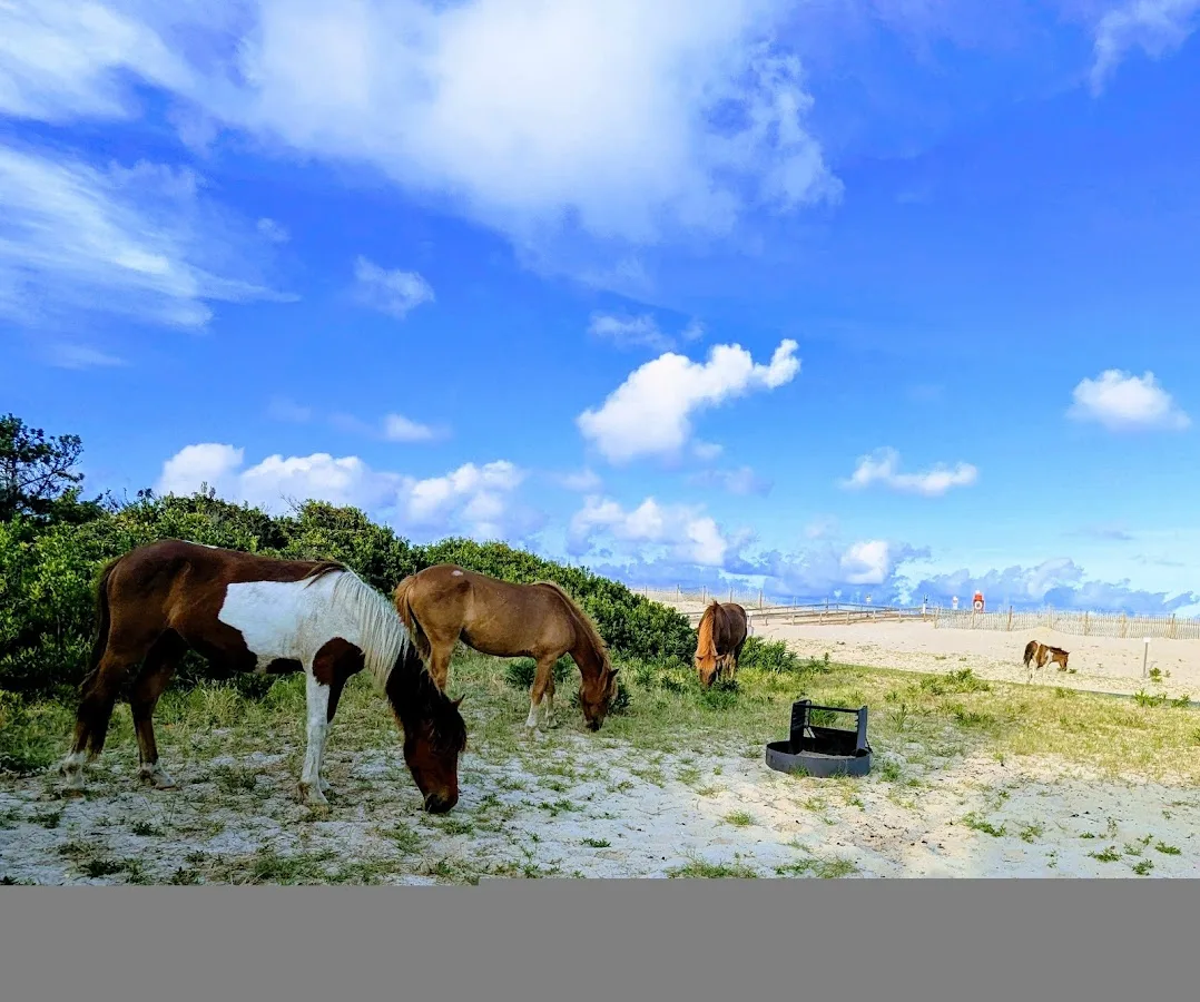 Assateague State Park