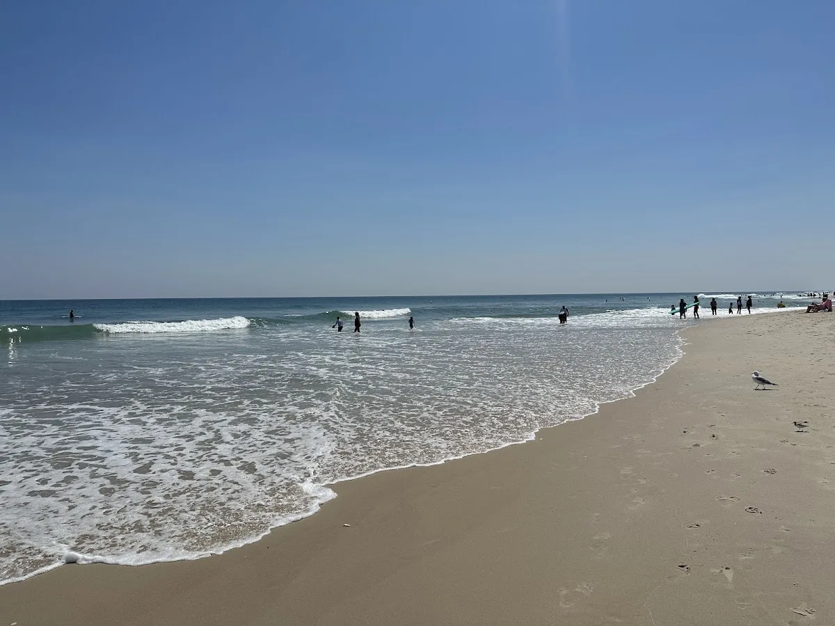 Assateague State Park Youth Group Campsites