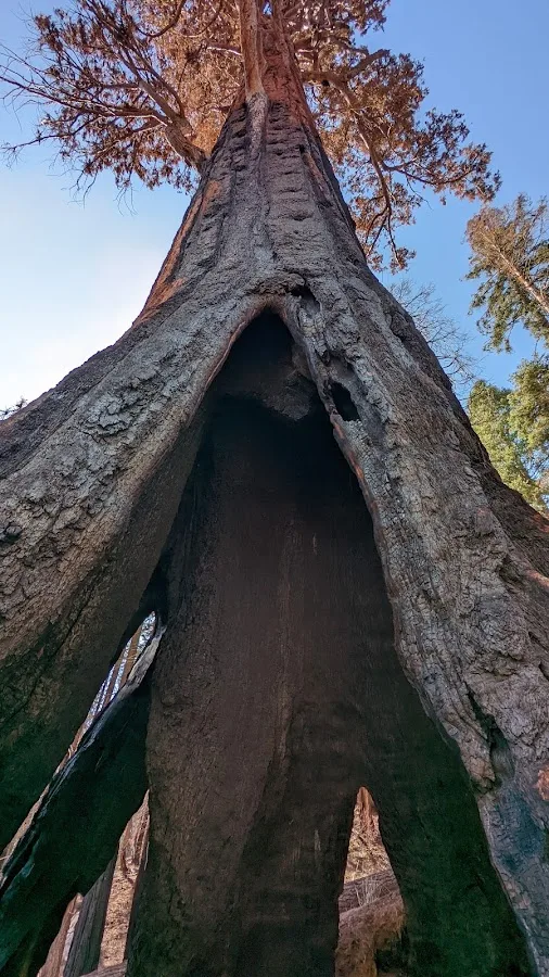 Atwell Mill Campground