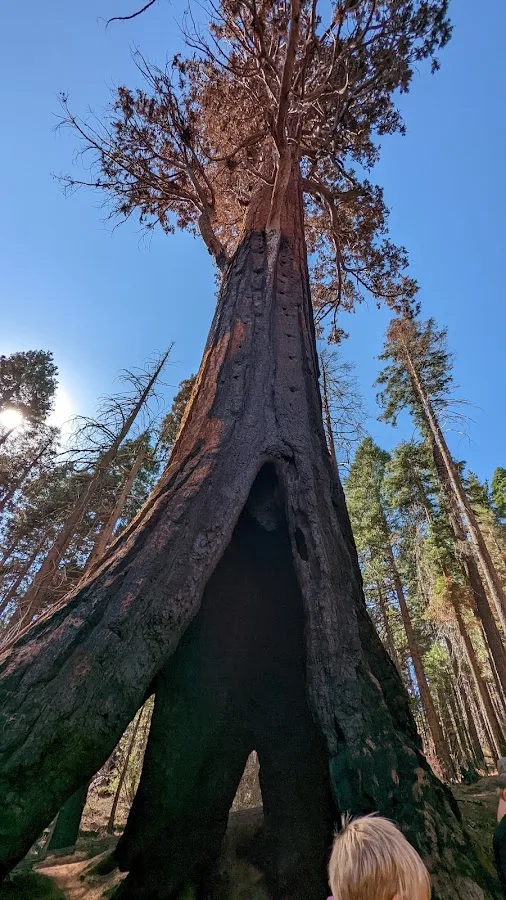Atwell Mill Campground