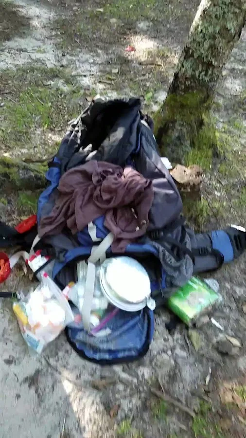 Au Sable East Campground