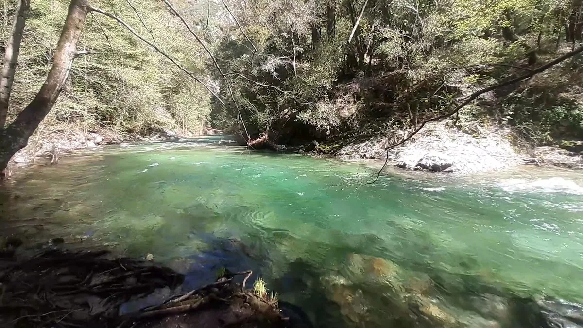 Barlow Flat Campground