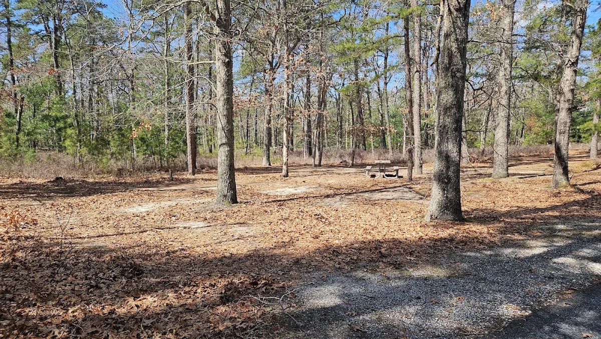 Bass River State Forest