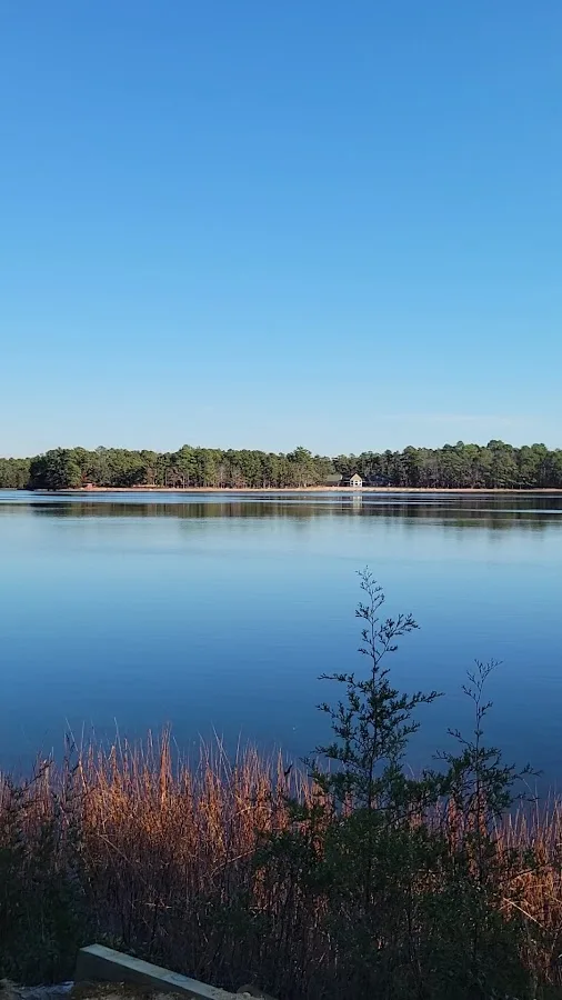 Bass River State Forest