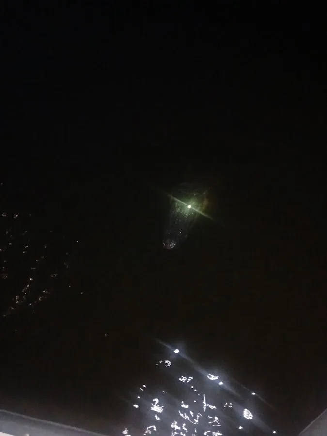 Bayou Segnette State Park