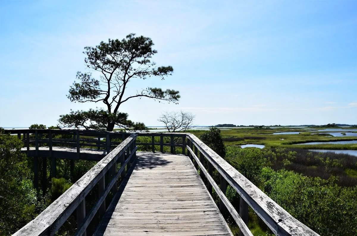 Bayside Drive-in Campground