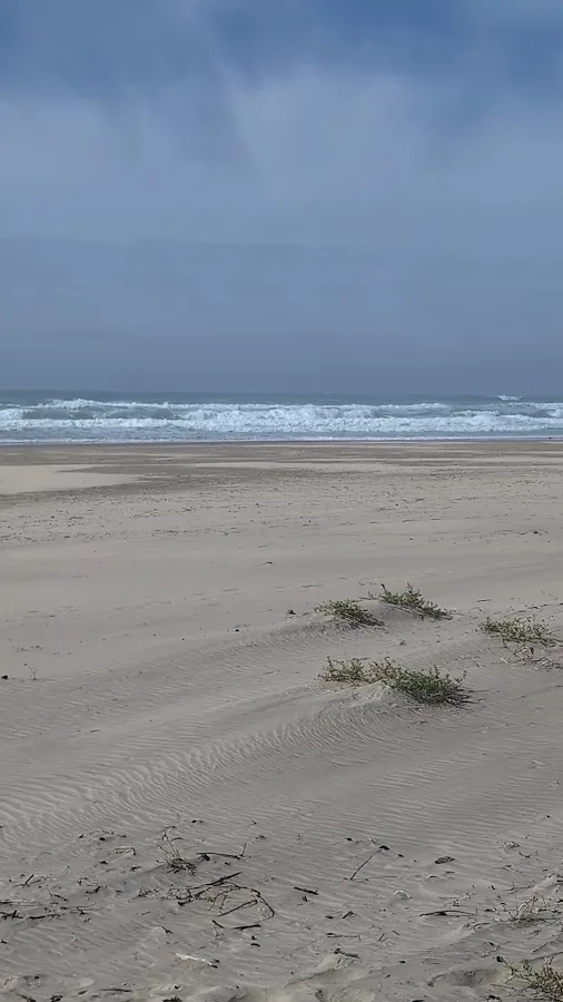 Beachside State Recreation Site