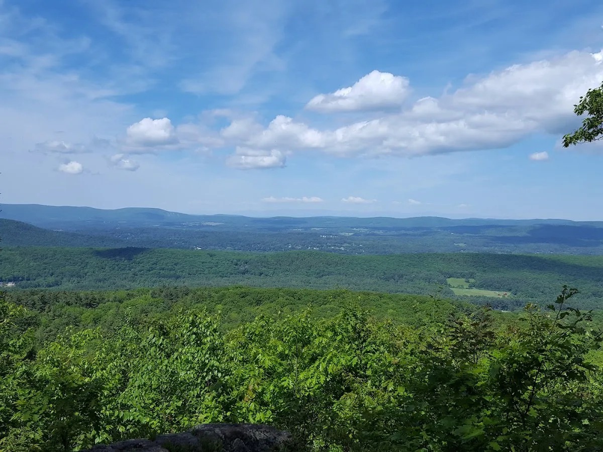 Beartown State Forest