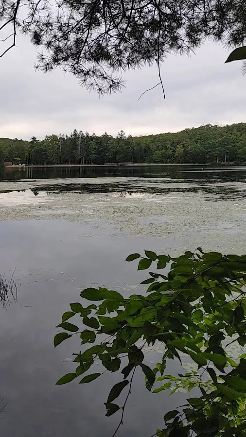 Beartown State Forest