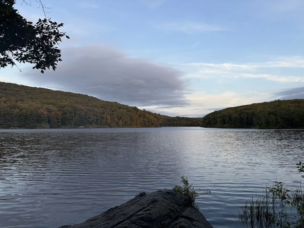 Beartown State Forest