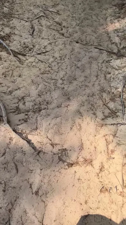 Beaver Creek Campground