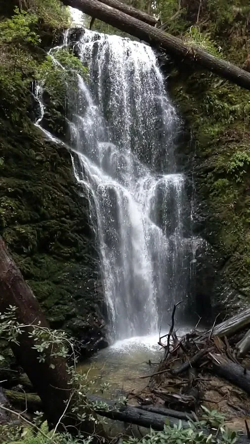 Big Basin Redwoods State Park