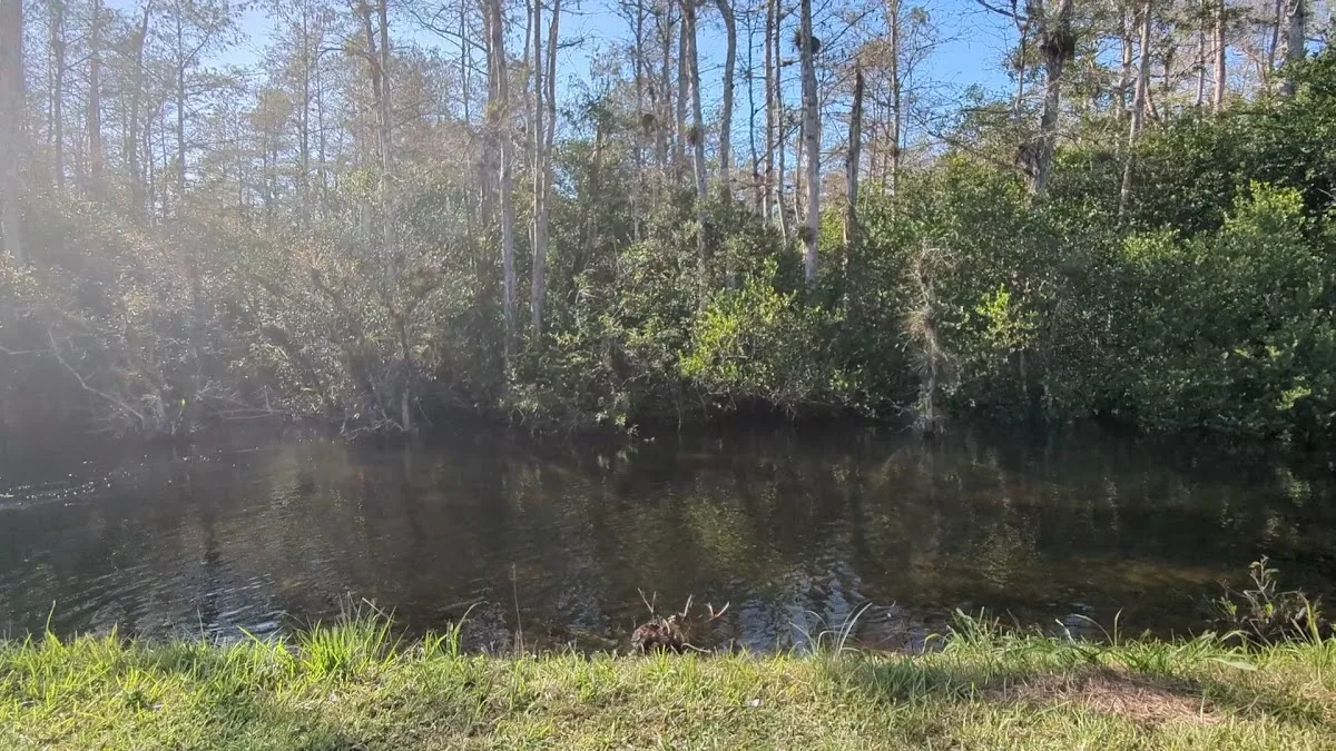 Big Cypress National Preserve