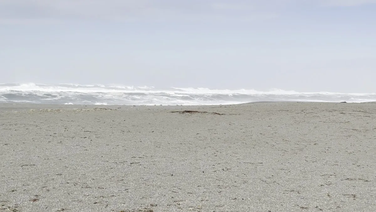 Big Lagoon County Park