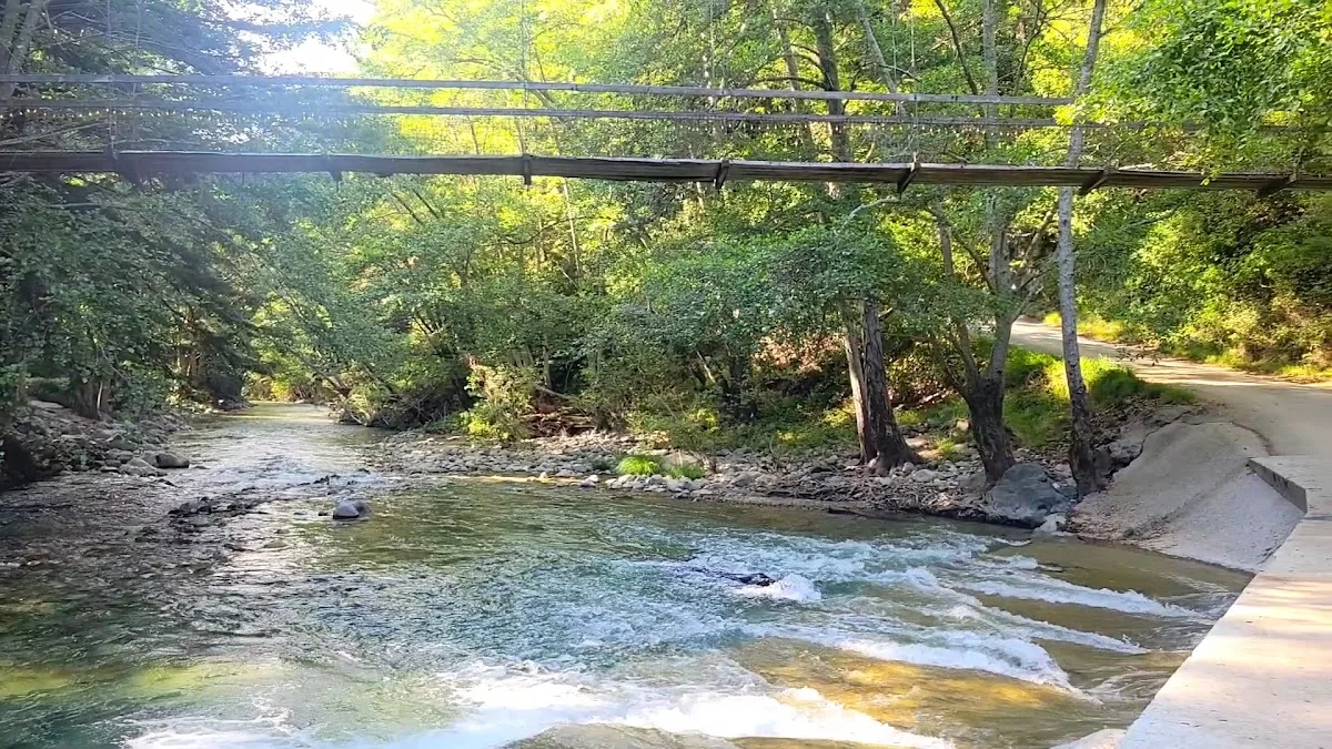 Big Sur Campground and Cabins