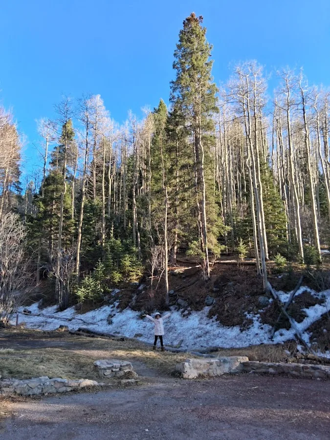 Big Tesuque Campground