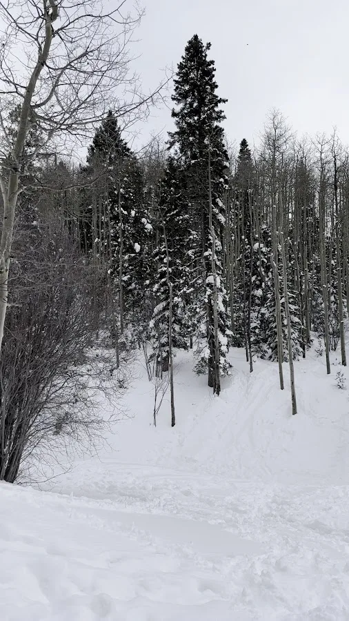 Big Tesuque Campground