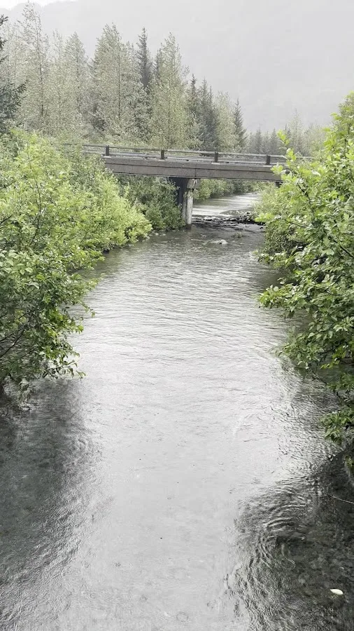 Black Bear Campground