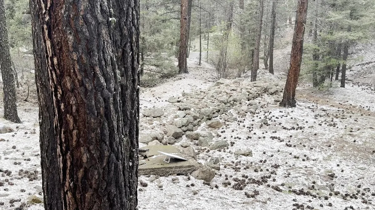 Black Canyon Campground