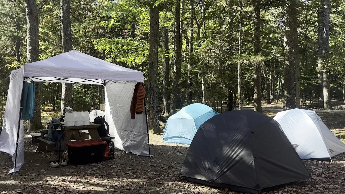 Blackwoods Campground