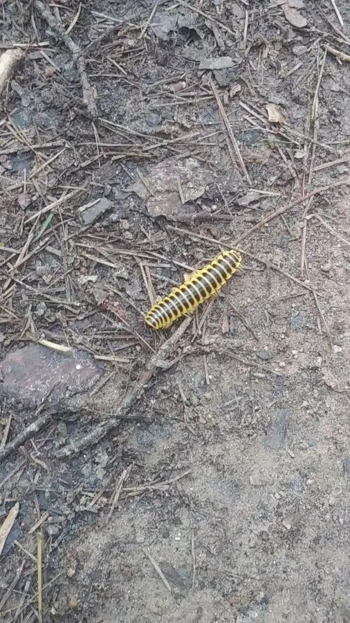 Blue Ridge Recreation Park