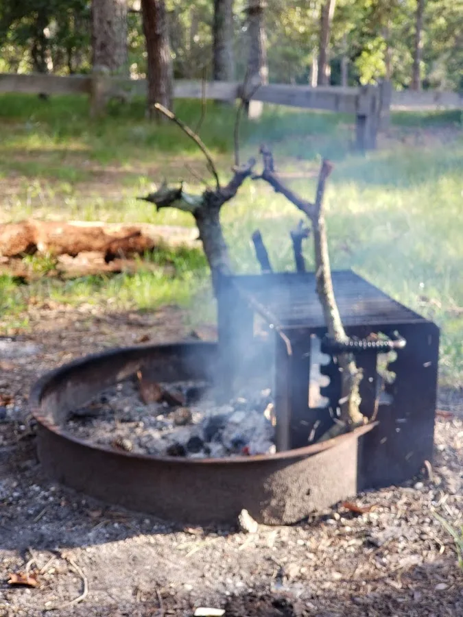 Bodine Field Campground