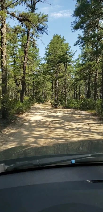 Bodine Field Campground