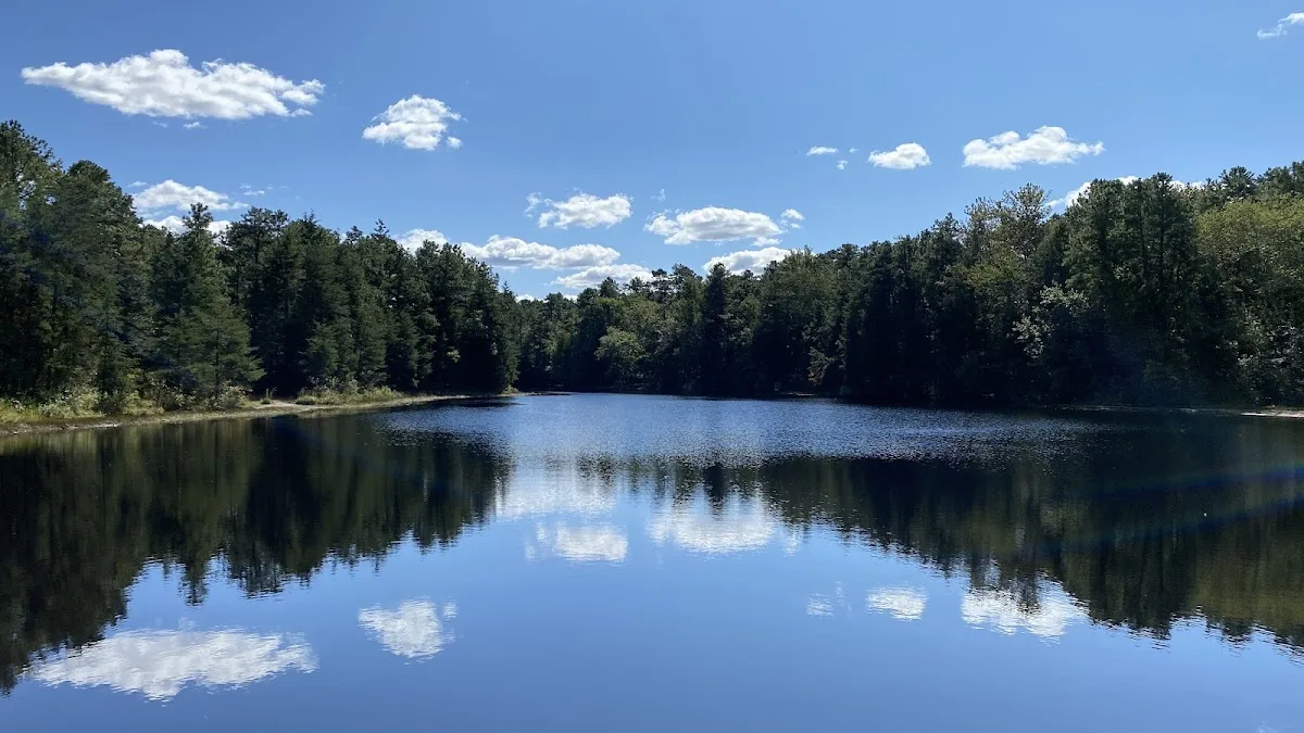 Brendan T. Byrne State Forest