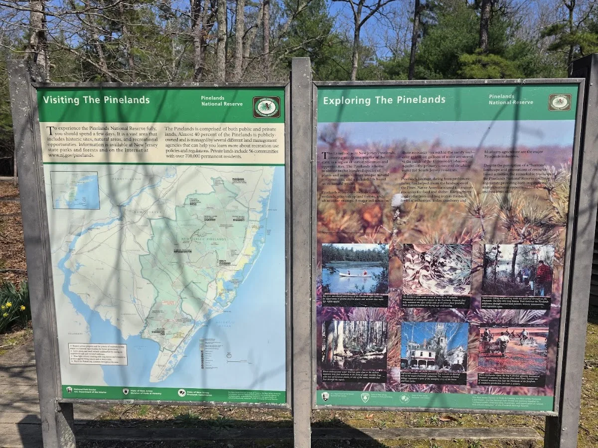 Brendan T. Byrne State Forest