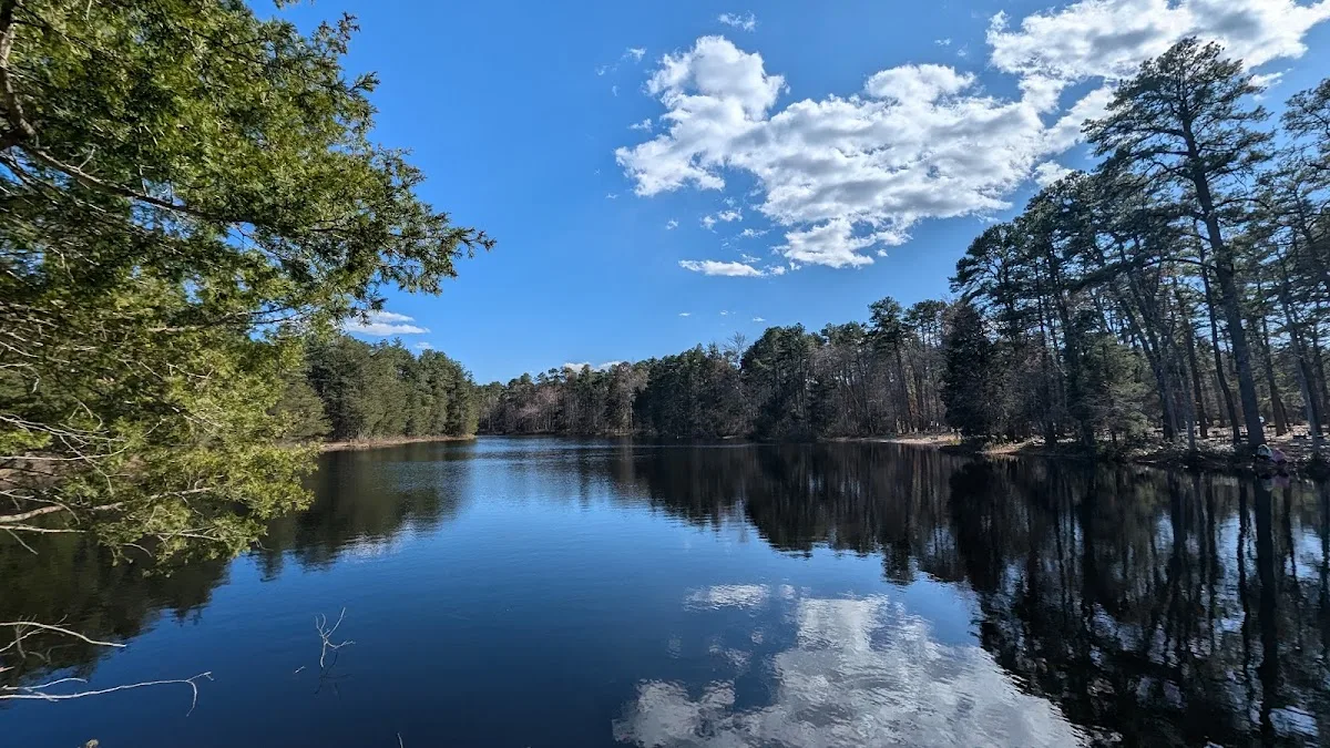 Brendan T Byrne State Forest Campground