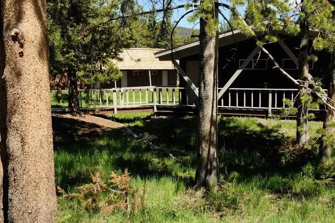 Bridge Bay Campground