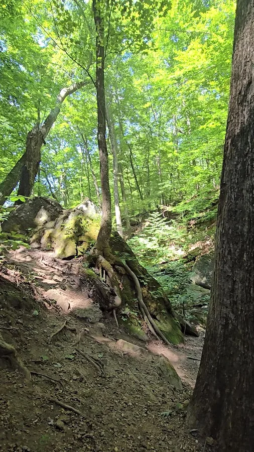 Brier Creek Campground