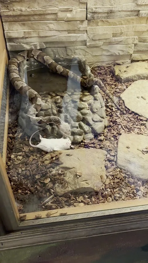 Brown County State Park Nature Center