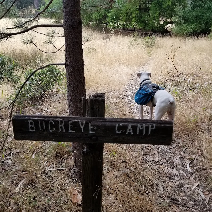 Buckeye Campground