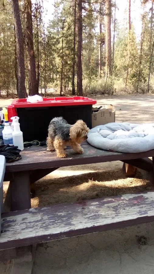 Bull Bend Campground