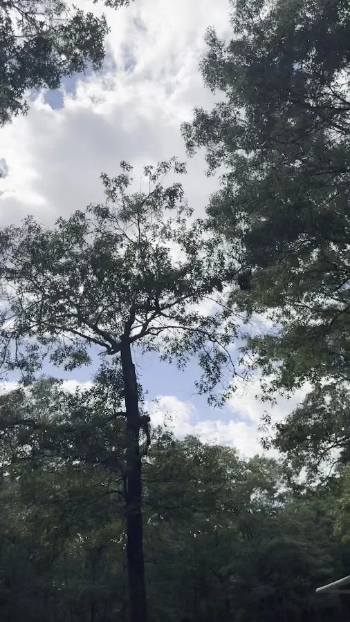 Burlingame State Campgrounds