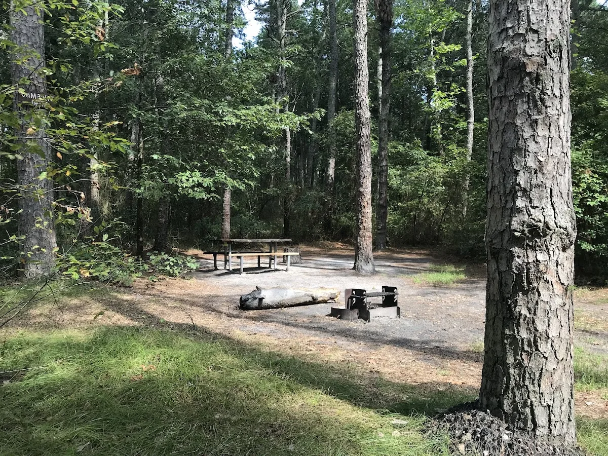 Buttonwood Hill Campsite