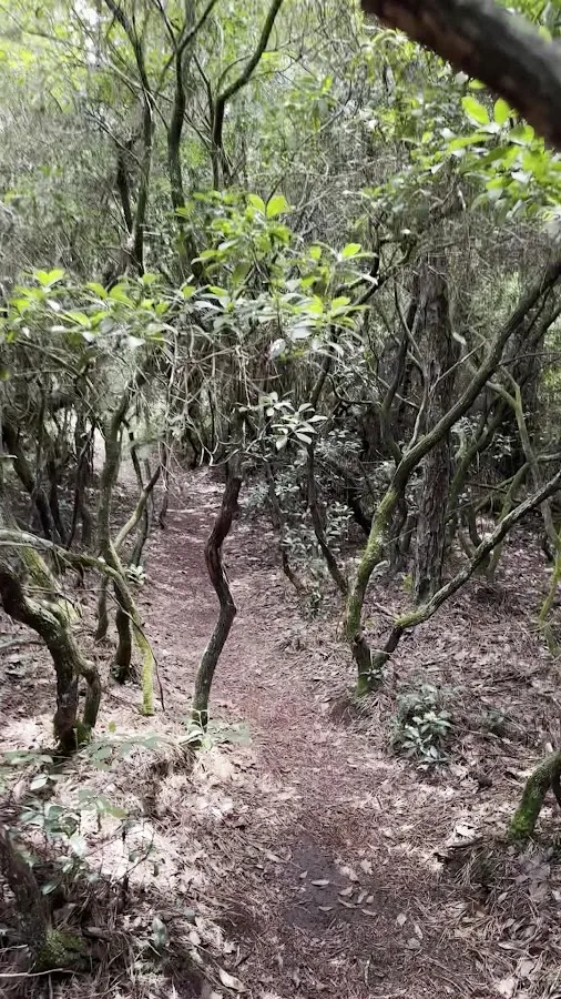 Buttonwood Hill Campsite