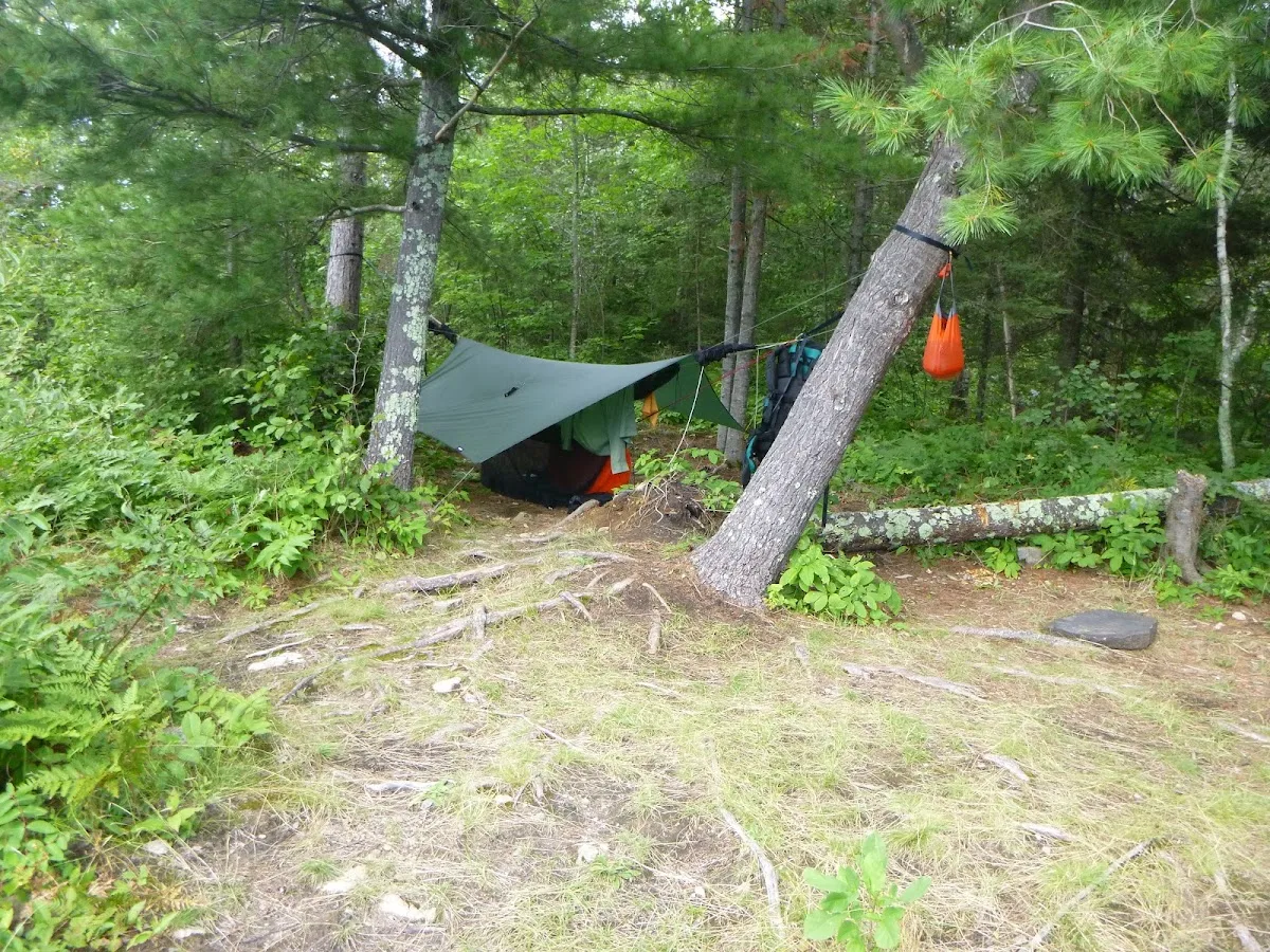 BWCA Campsite #1602